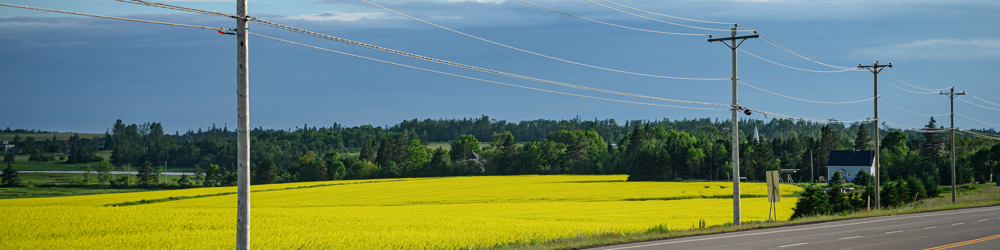 Power Line Safety